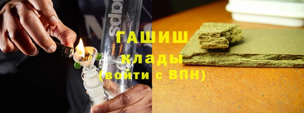 прущие грибы Белокуриха