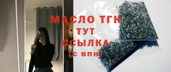 хмурый Арсеньев