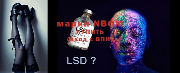 прущие грибы Белокуриха
