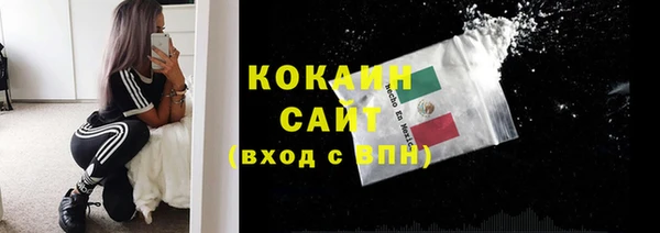 хмурый Арсеньев