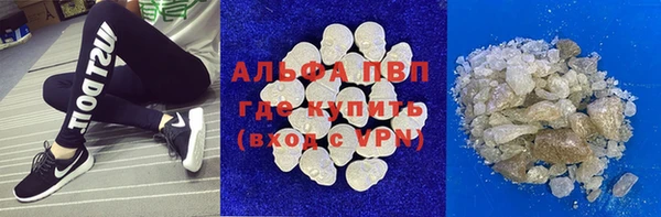 прущие грибы Белокуриха