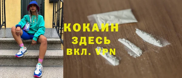 хмурый Арсеньев