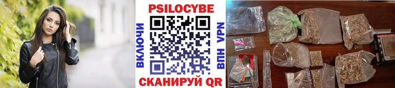 цена наркотик  Козьмодемьянск  omg как войти  Галлюциногенные грибы Psilocybe 