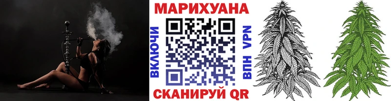 Канабис сатива  Козьмодемьянск 
